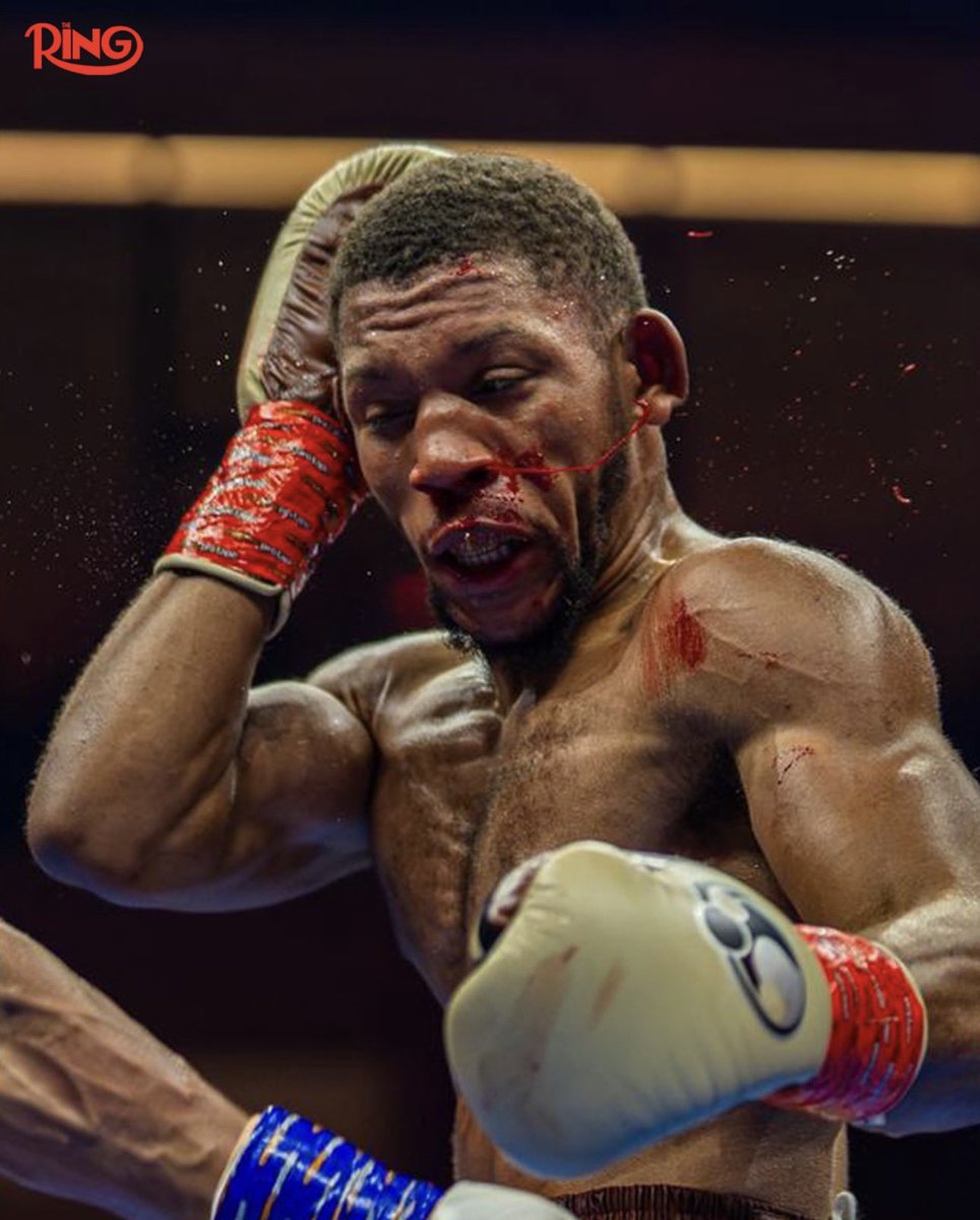 plaibell 🇺🇸 tweet media