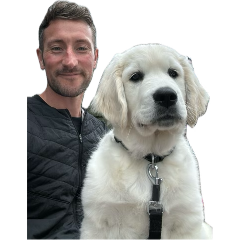 Paul Mclaughlin tweet media