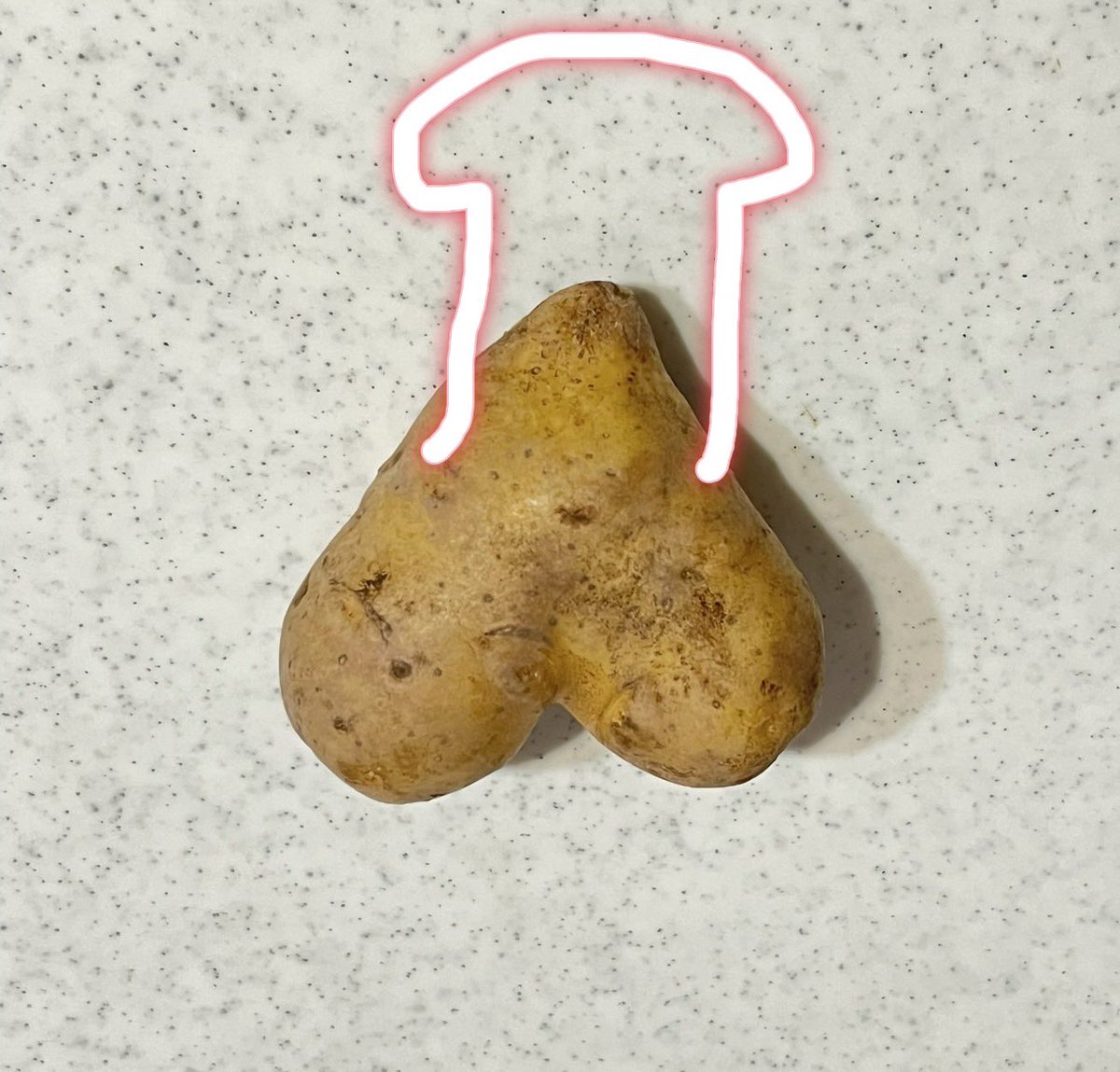 Golden Ball POTATO