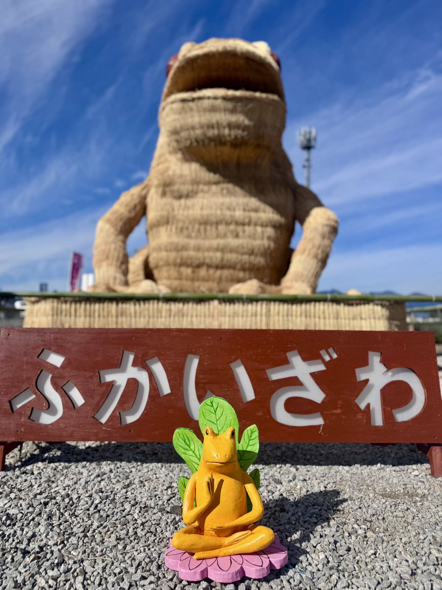 わらわら CAINZ-DASH】加藤伝蔵商店 わら縄 2分5厘 3．0Kg F212【別送品