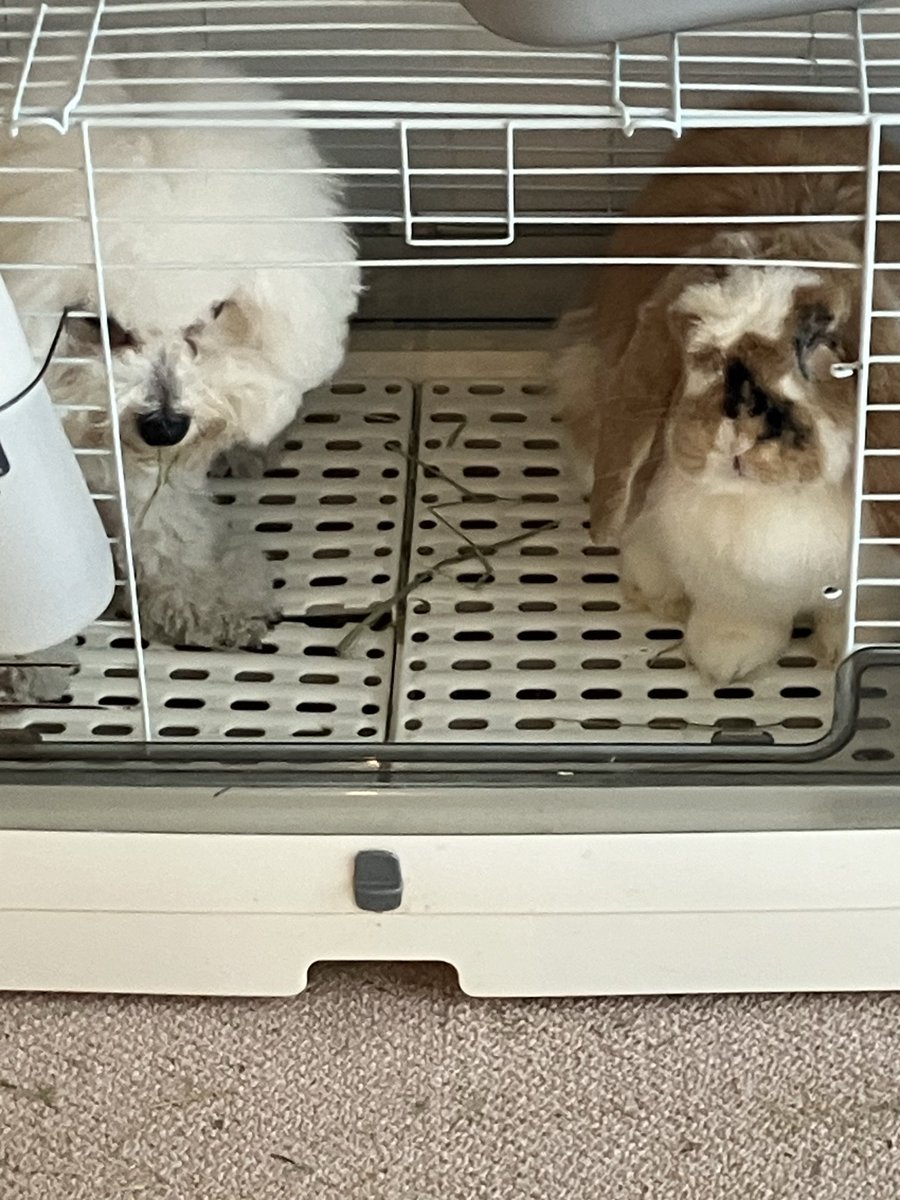 本当に仲が良い💕