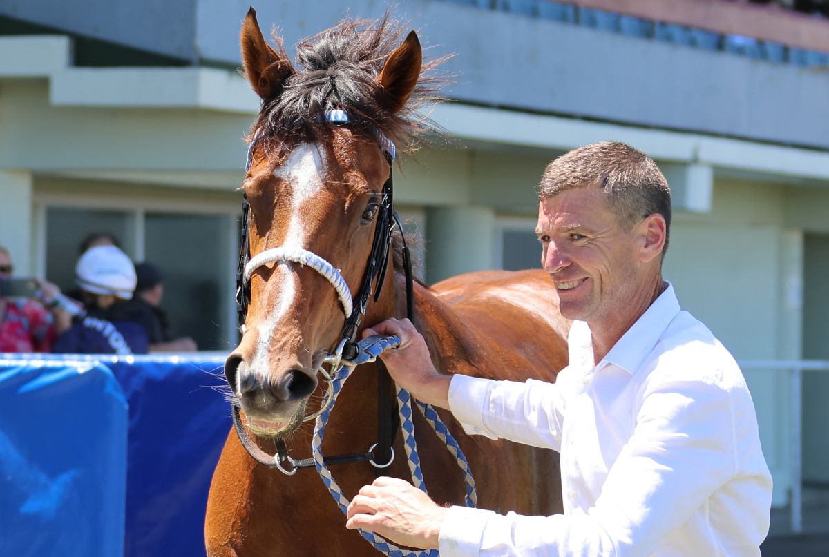 NEWS: Trainers Steven Ramsay and Julia Ritchie celebrated their 200th winner in the <a href="/PencarrowStud/">Pencarrow Stud</a> colours with talented filly Passiflora on Saturday. Read more here racingnews.co.nz/ramsay-and-rit…