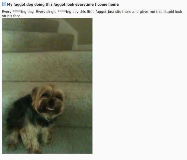 normal_ballerz's tweet image. how it feels