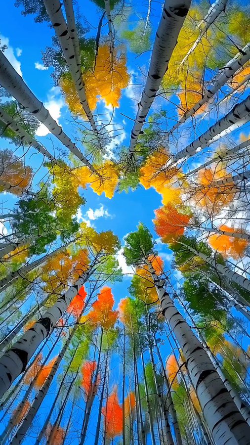 𝗔𝘀𝘀𝗮𝗹𝗮𝗺𝘂𝗮𝗹𝗮𝗶𝗸𝘂𝗺🌹

जंग और शतरंज में कभी भी राजा की क़ुरबानी नहीं दी जाती है..!!

Good Morning 🌄