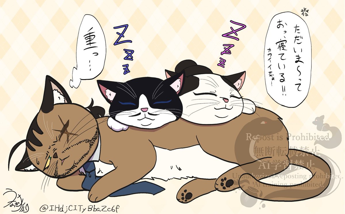 IHdjCITyBbaZc6f's tweet photo. #これでフォロワーさん増えました
ほぼ高🐱ちゃんとtkakですがこれで増えました😸💕 https://t.co/JK7sNh24xh