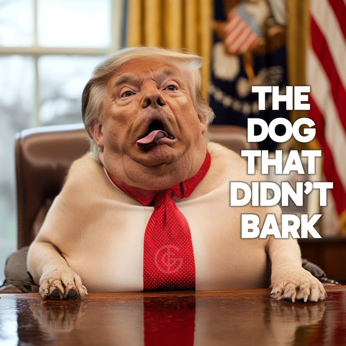 Anonymous (@youranoncentral) on Twitter photo 