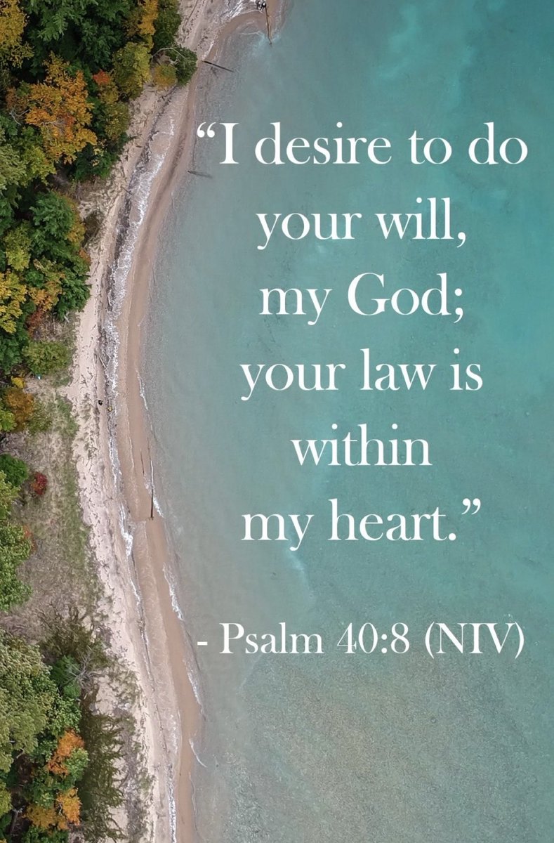 sharonePack's tweet image. PILLOW🌟#PROMISE💫