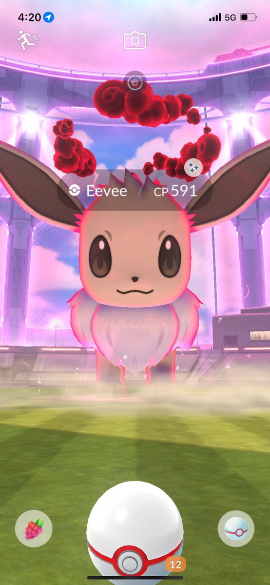 A second Dynamax Eevee to add to the collection.

#pokemongo #ShinyPokemon