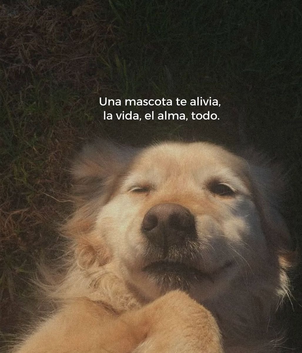 vibesfyp's tweet image. 