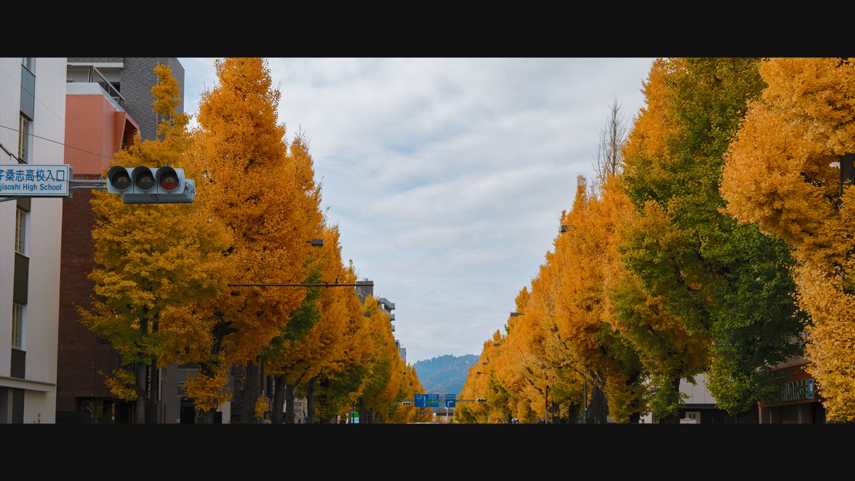 takuma3_'s tweet image. 甲州街道
📸 #SigmaBF + #SIGMA 50mm F2 DG