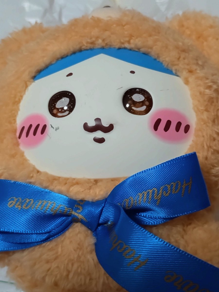 A86 (@NamamonoA) / Posts / X