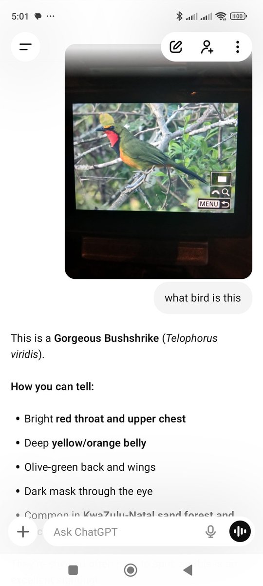 cobus_oost's tweet photo. @elonmusk @grok This. Grok really struggles to beat google lens and chat gpt on image identification https://t.co/FQ5EKG9qPb