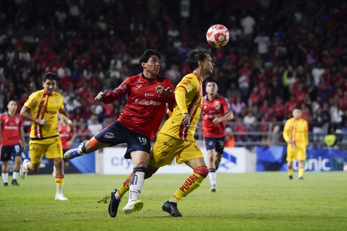 MrSplendidX's tweet photo. Irapuato es el único equipo en llegar a la Final sin haberle ganado un partido a 7 de los equipos que clasificaron a Liguilla.
#SplendidDato https://t.co/b2qeIFMTMT