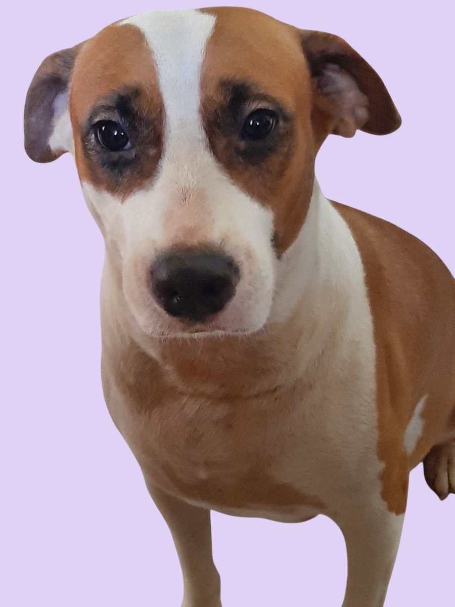 <a href="/Carpaxio6977/">Diodoro Krlitos alterna 32 de pocholo</a> siiiiii,quitaselo