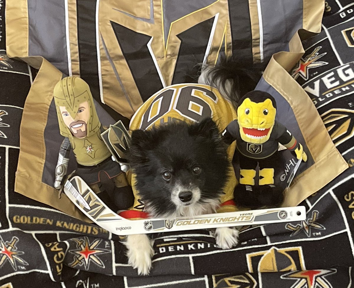 Who’s craving some BBQ roast duck???? 🤔THIS PUP!!!! I’ll be more than happy to share the duck 🦆 with #VegasBorn in exchange for #LuckyVGKNoseBoops! I’ll carve it with my stick.  Let’s go!!!

#VGK9Krew
❤️🐼🐶