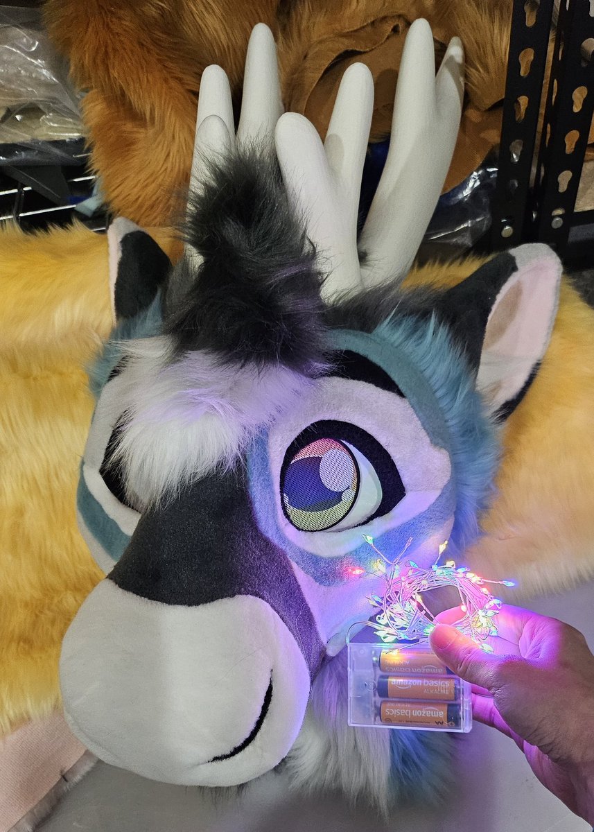 spiritpandasuit's tweet image. Gotta include pretty lights with the caribou :3