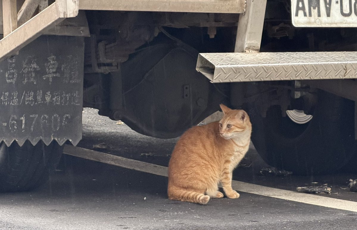 ilovepurinhk's tweet image. 潮境公園と大平海岸はかなり離れているので、Uberタクシーを呼んでとても便利でした👍🏻
地元の人たちの助けを借りて、階段を見つけました。よかった🥹階段を上って行くと海が綺麗でしたね☺️
残念ながら、満潮が危険すぎて、それ以上進むことができませんでしたなぁ🥺

#猪塚健太写真集
#猪塚健太