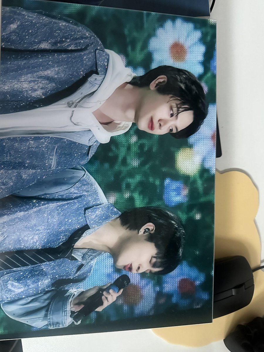 누 (선 물) tweet media