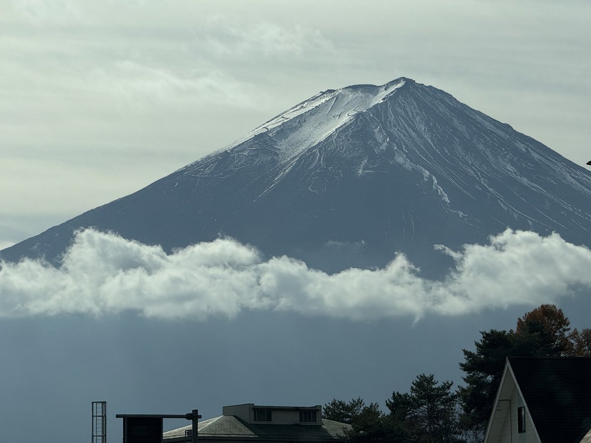 ひじり@さくら鯖 tweet media
