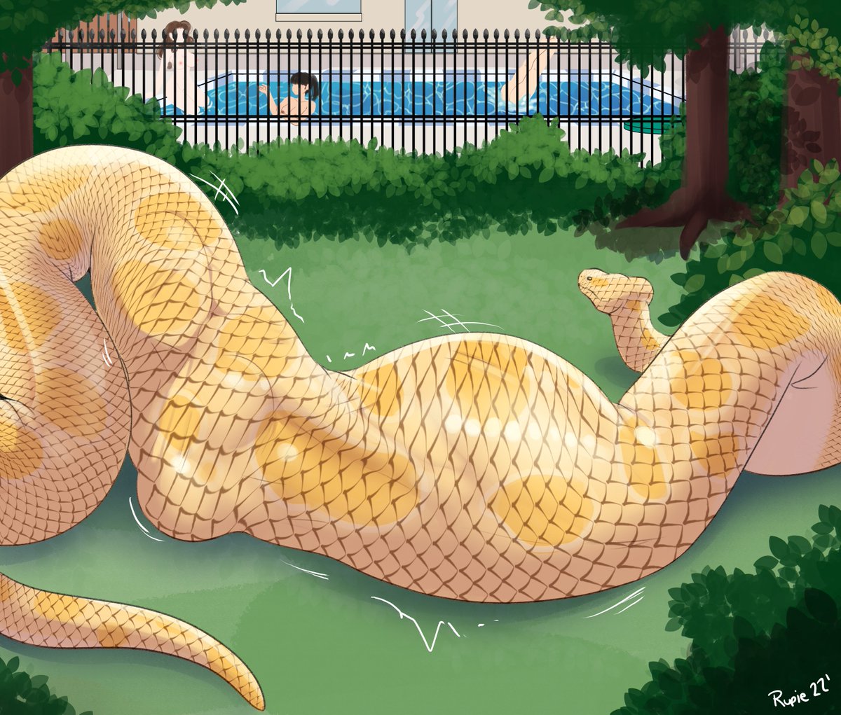 Kaa (Parody) tweet media