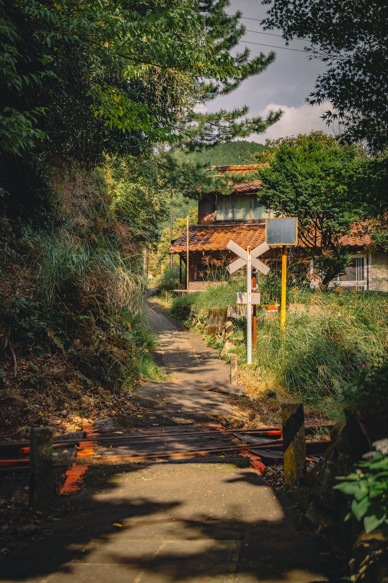 あれから2年経つけど、結婚相手候補がいまだに人間じゃないの、人間として致命傷すぎる。