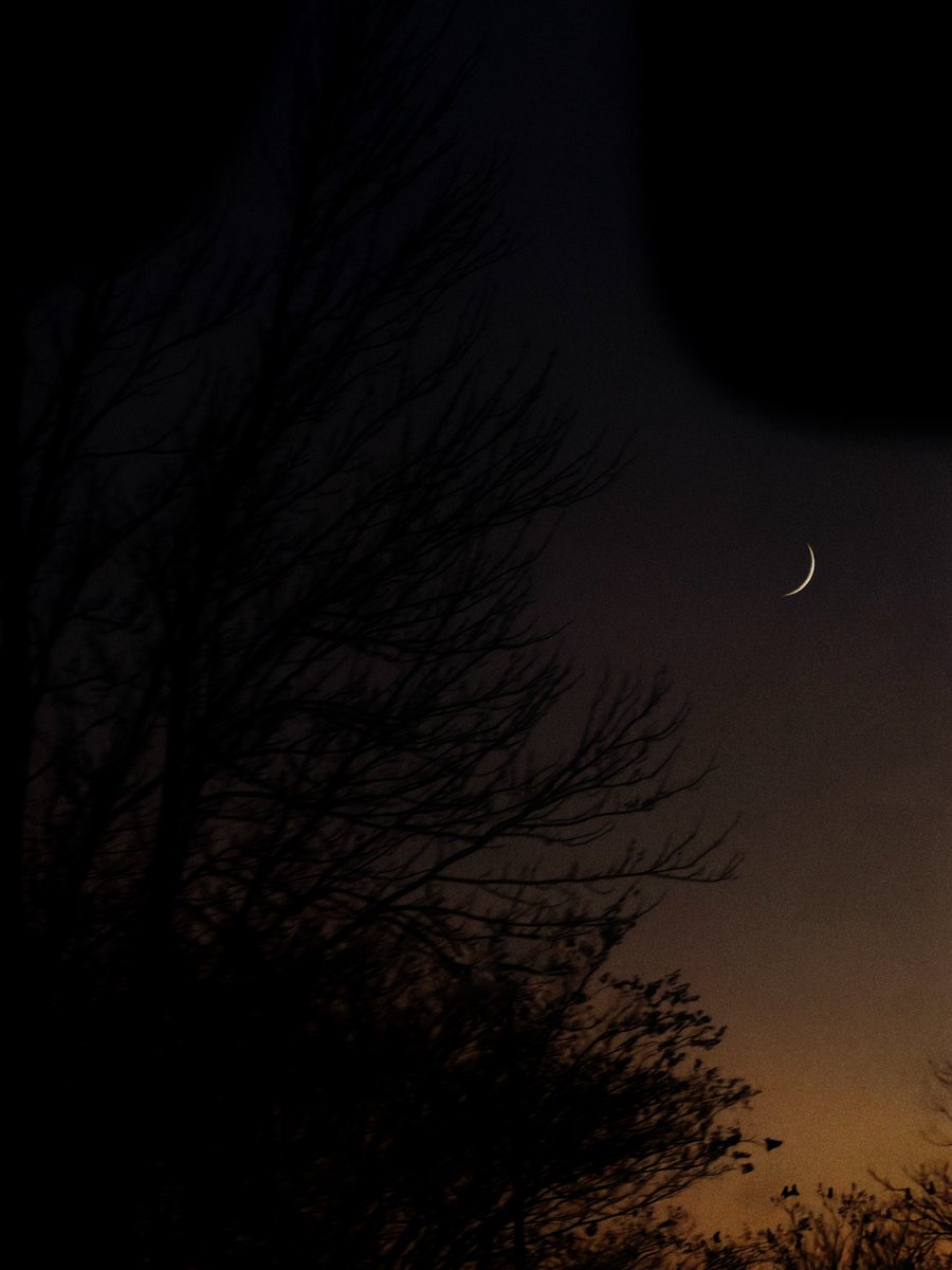 prv_rtk's tweet image. Atlanta :)