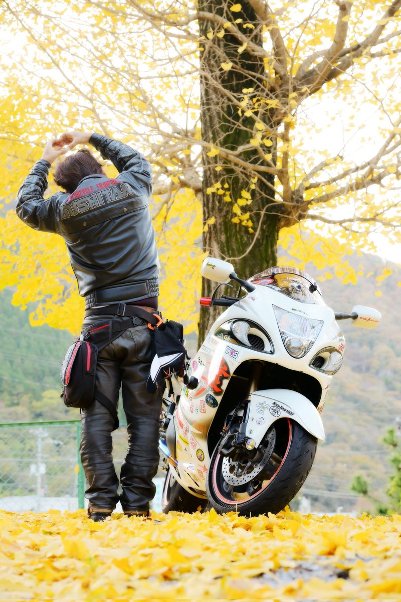 しろぶさ (@shiro_88busa) / Posts / X