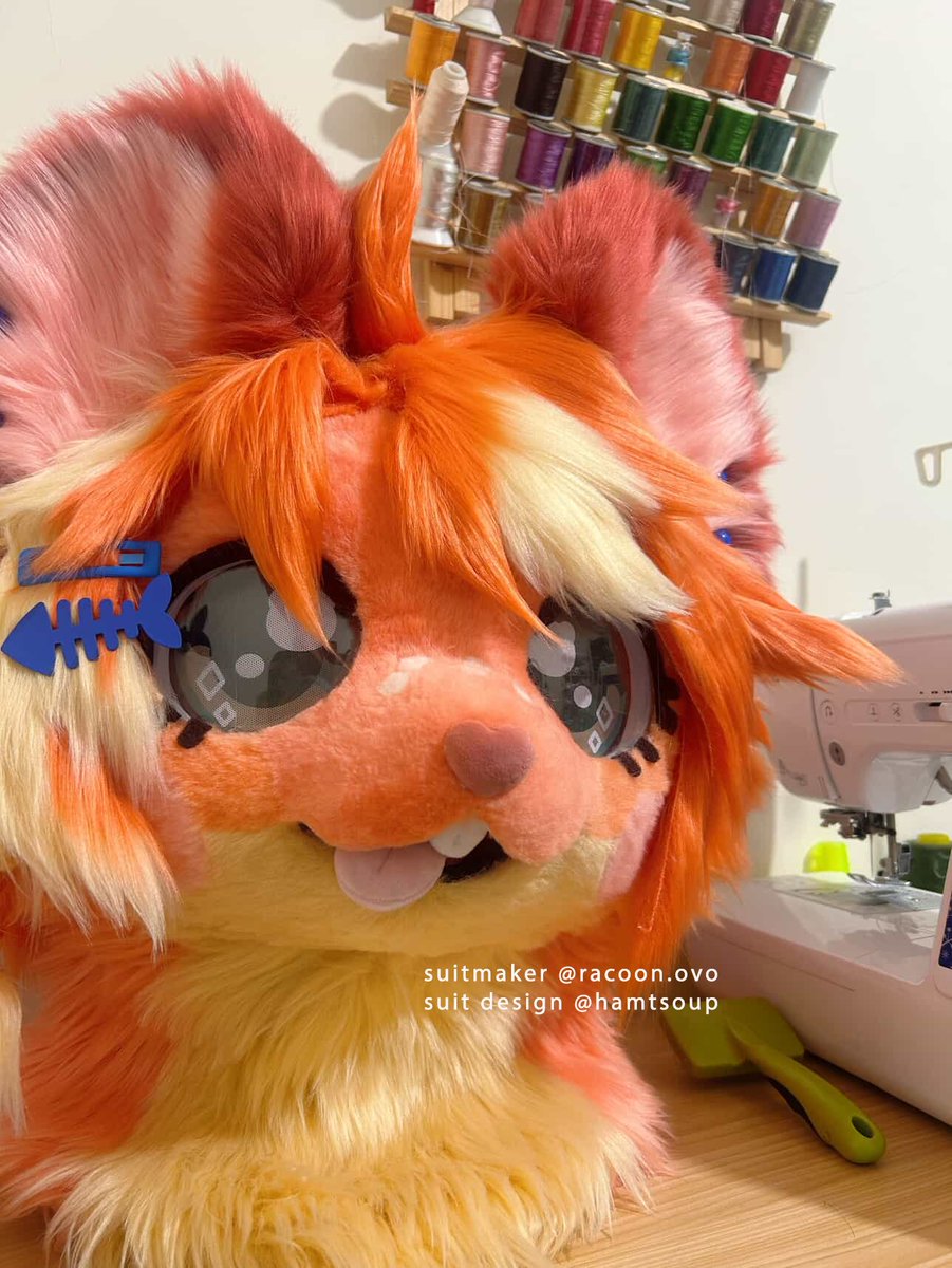 Soop 🐹🍲 tweet media