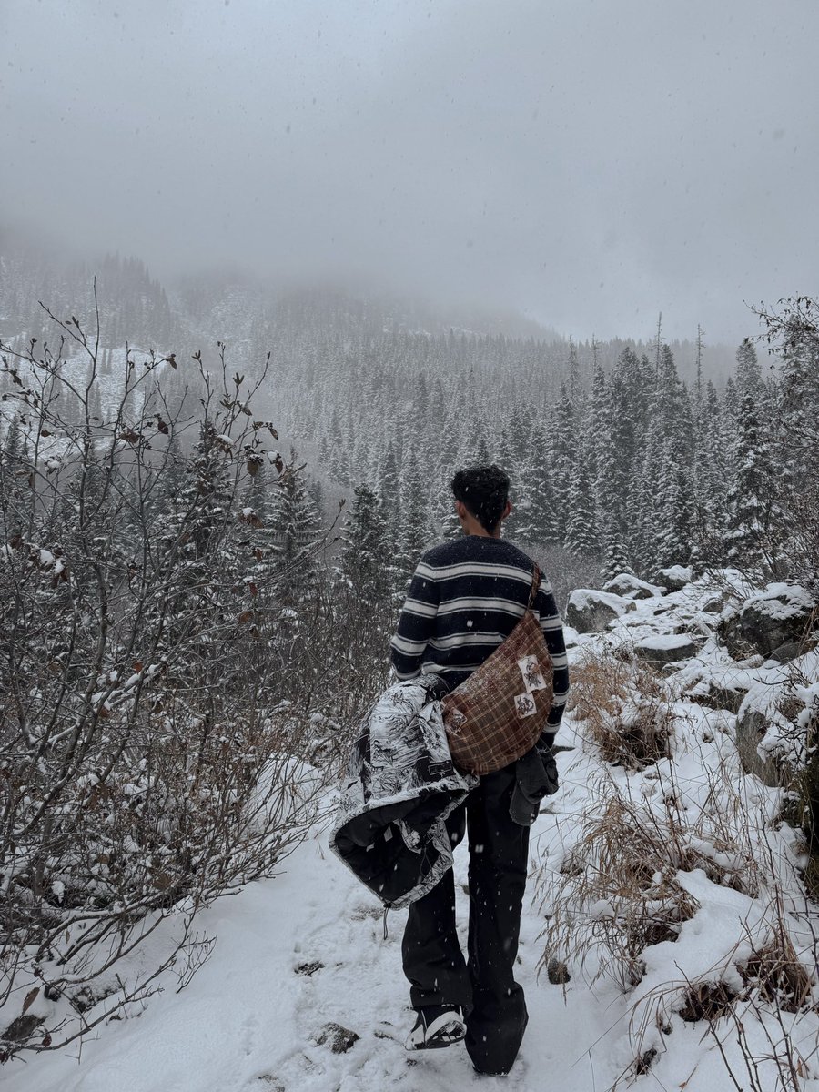 mleomp's tweet image. It snew