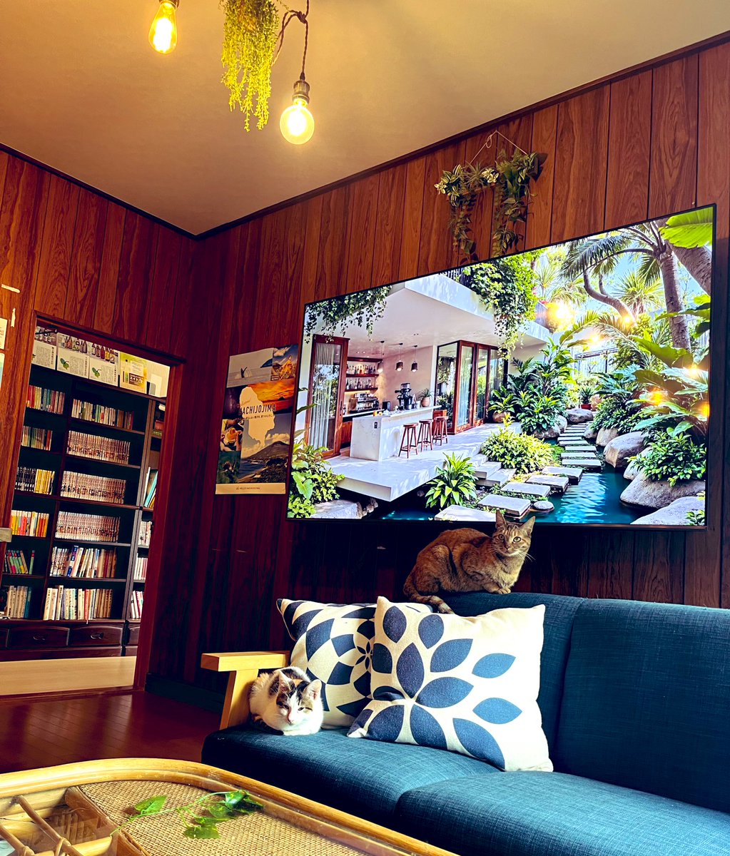 sasaosou's tweet image. チェックイン待ち
#ゲストハウス