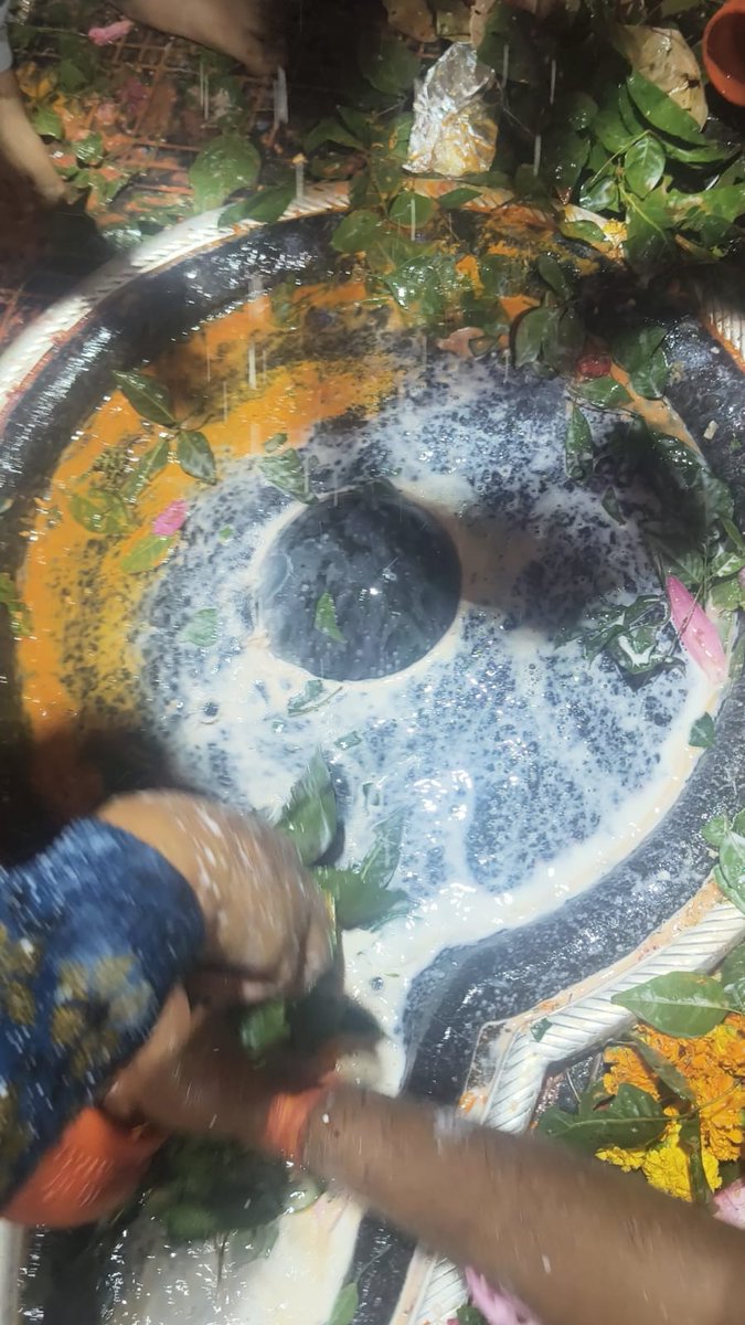 प्रातः दर्शन🌿🌺🙏🌺🌿(२३/११/२०२५)
🚩🔱#ॐ🔱🚩
🚩#जय_बाबा_बैद्यनाथ🚩🌺🙏🌺
🚩#ॐ_सूर्य_देवाय_नमः🚩🌺🙏🌺
परम् पूज्य मनोकामना ज्योतिर्लिंग श्री बाबा बैद्यनाथ जी महाराज के परम् पूज्य श्री चरणों में प्रातःकाल का नमन वंदन🌺🙏🌺
बाबा आपकी कृपा सदैव हम सभी पर बनी रहे..बोल बम🌺🙏🌺