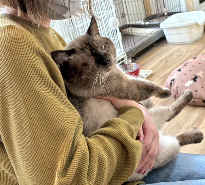 まめたろ まめたろ (@kuromametaro620) / Posts / X