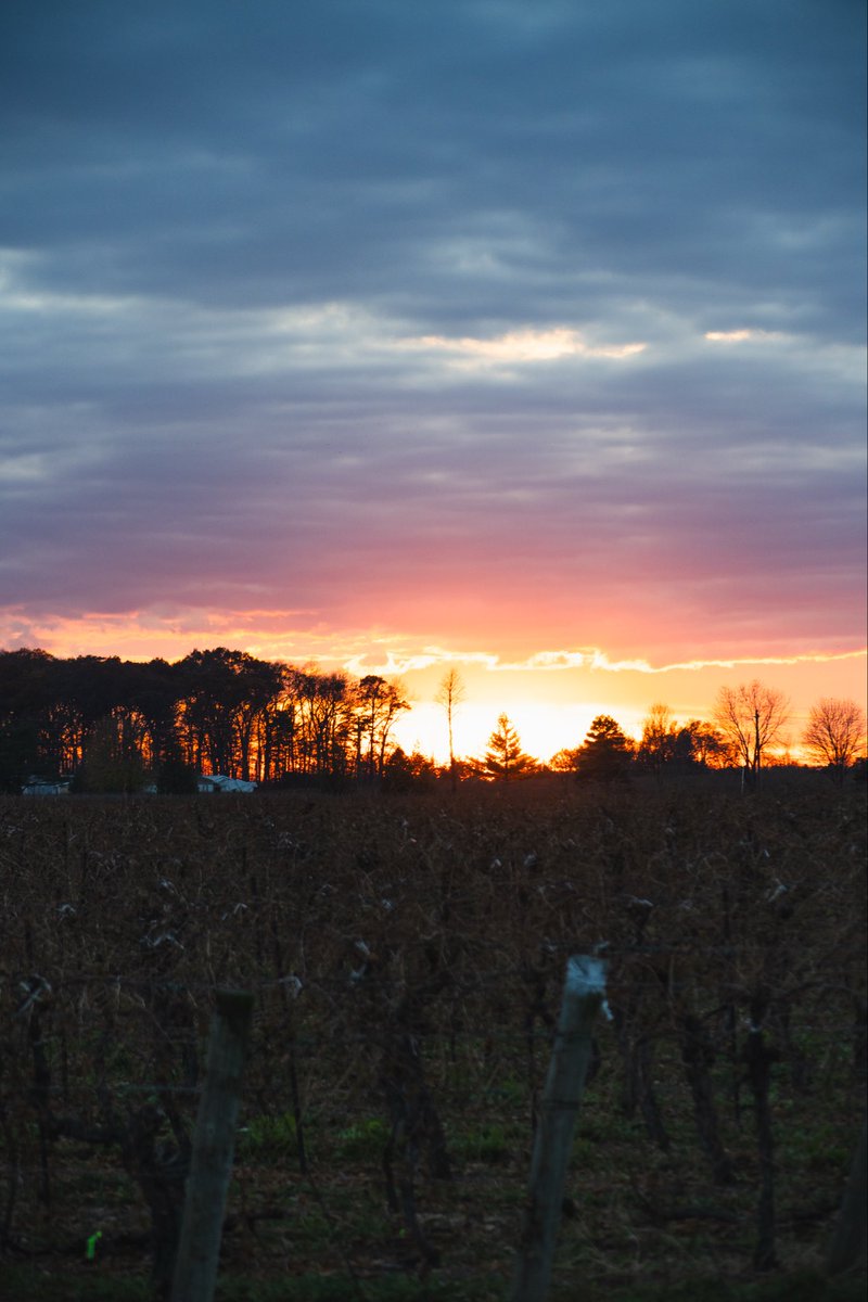 از دالان‌های تاریک تا خروش آب و پرواز
و از آژفنداک تا ایوار!

۲۲ نوامبر ۲۰۲۵