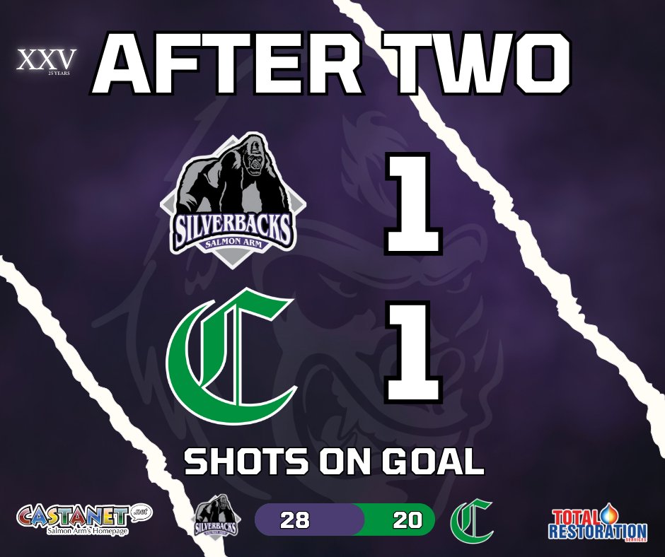 SASilverbacks's tweet image. A tie game heading to the final 20.