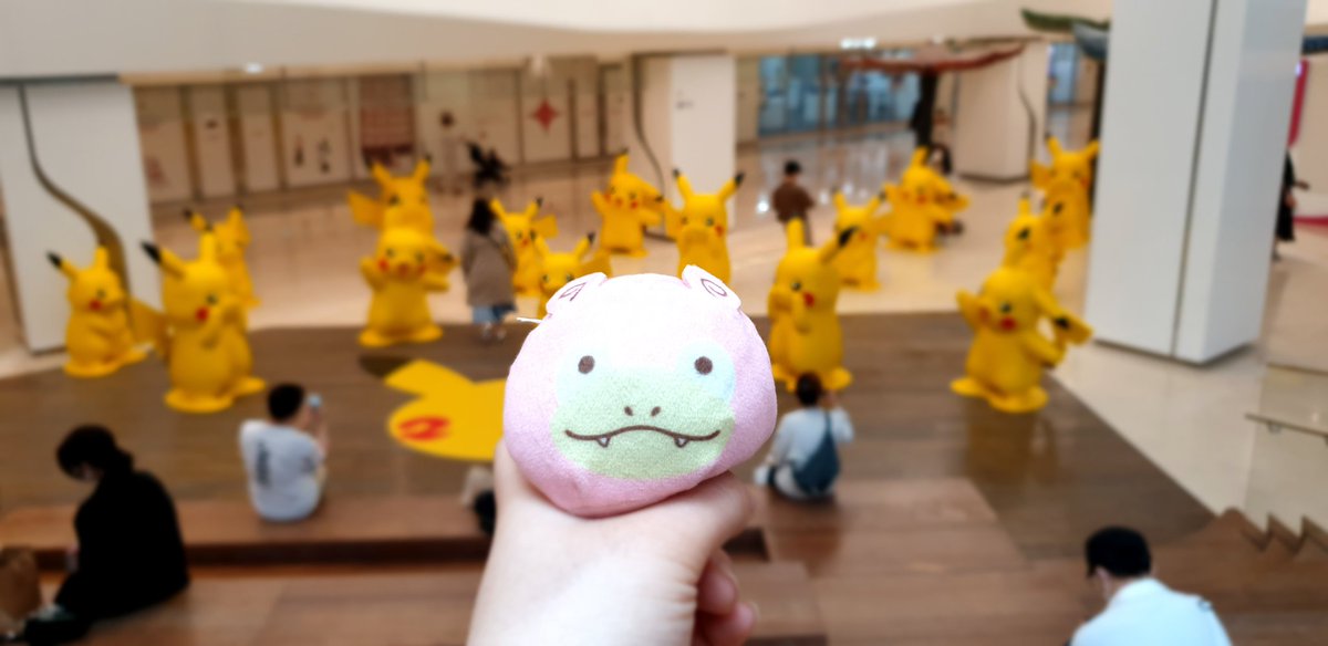 슈이 tweet media