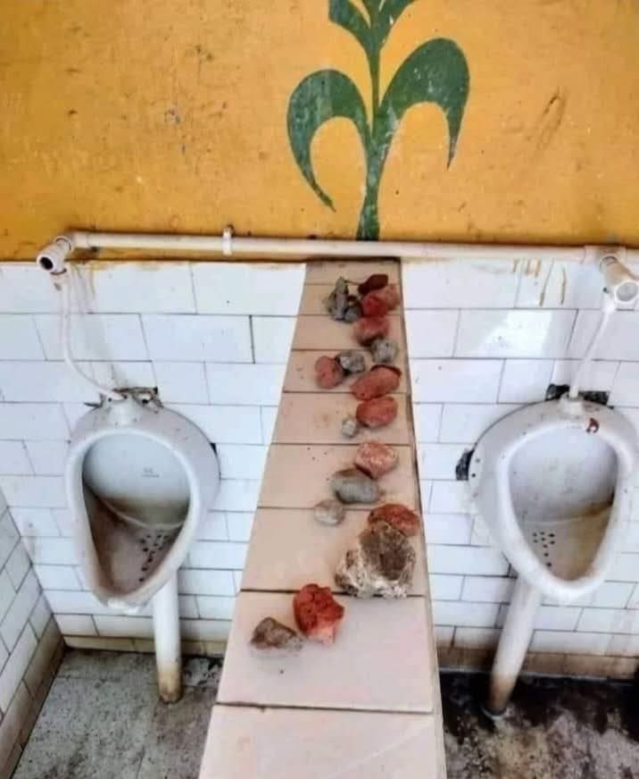 ArunKoslii's tweet image. आजकल ऐसा देखा जा रहा है कि बहुत से पब्लिक मूत्रालयों में भी बीच की दीवारों पर ईंट, रोड़े, कंकड़, पत्थर आदि रखते हैं ।

अब, मूत्रालय में हमेशा नमी रहने के कारण उस ईंट, रोड़े, कंकड़, पत्थर के टुकड़ों में जीवाणु-कीटाणु के साथ-साथ फफुंद भी लग सकते हैं ।

इसीलिए, एक जिम्मेदार नागरिक…