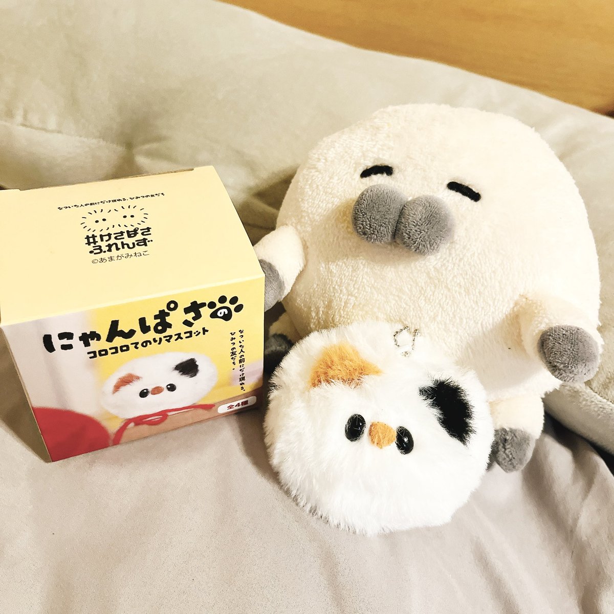 🦭デザフェス戦利品6️⃣🦭 あまがみねこ さん #けさぱさふれんず