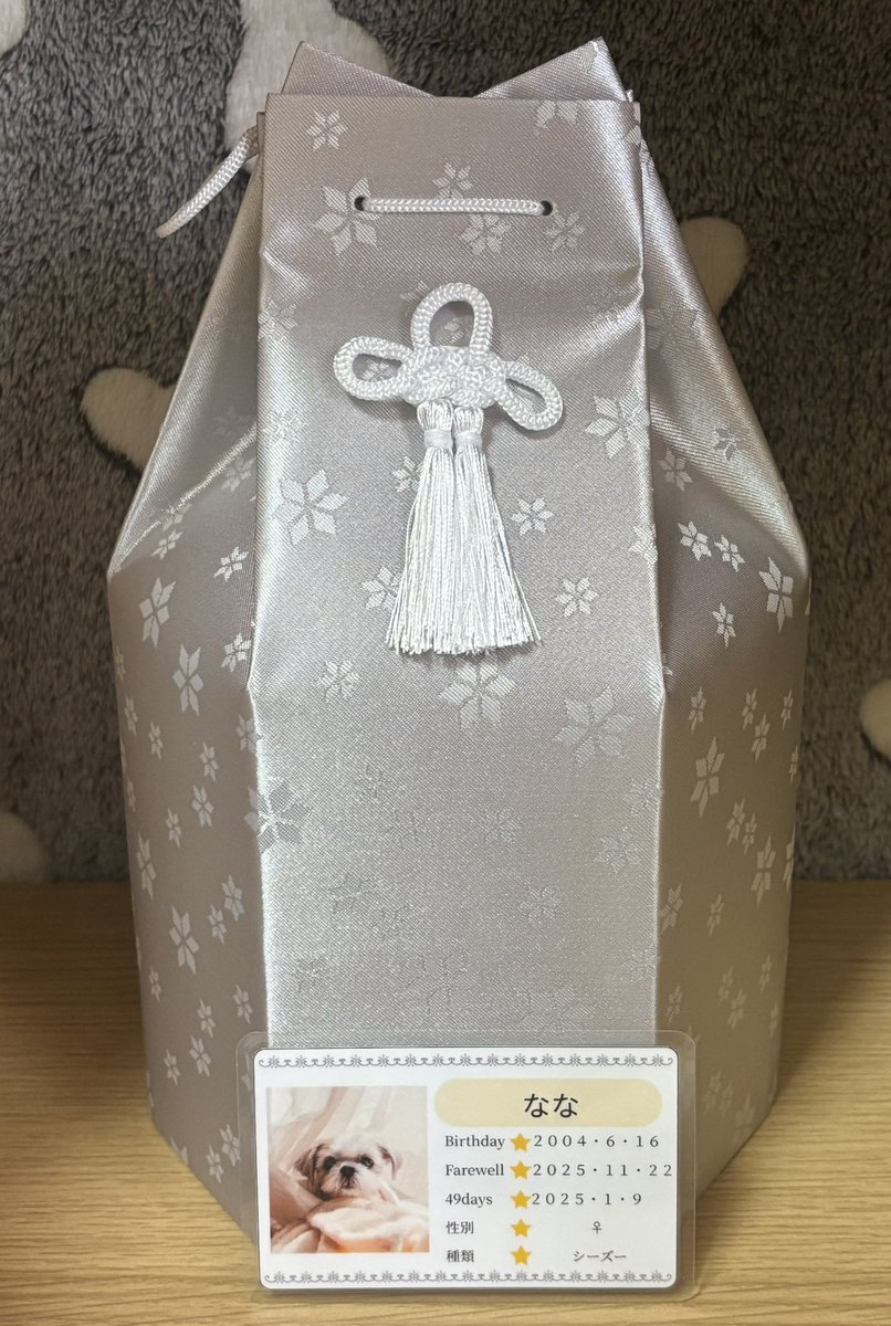 9/2♡わんちゃん♡水辺♡パネル♡ハンドメイド 9/2♡わんちゃん♡水辺