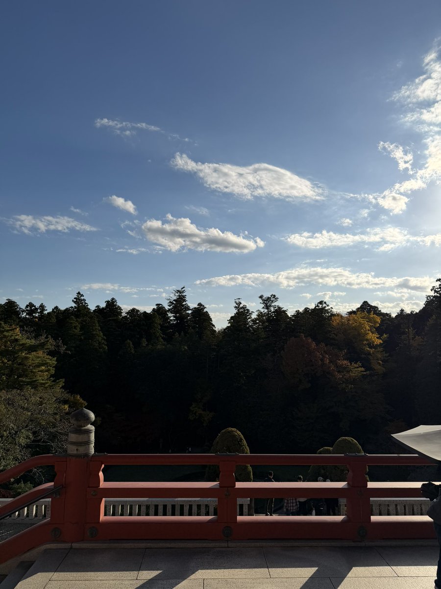 springboardjp's tweet image. 昨日の成田山新勝寺、紅葉がきれいだったよ、あと北総鉄道に乗ってみたい