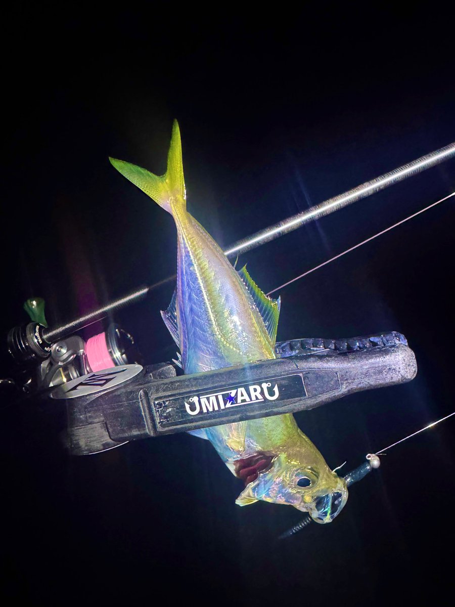 𓆜𓆝ジャスミン03 𓆞𓆟 (@Jasmine0_3) / Posts / X