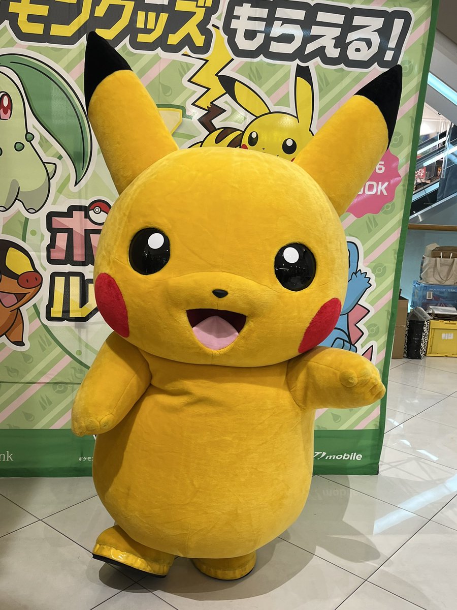 ぴかさま確認ページ♡ ピカチュウ