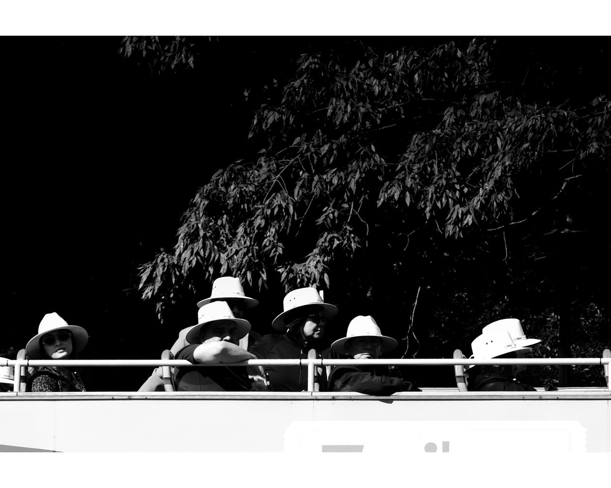 Sergio Paz tweet media