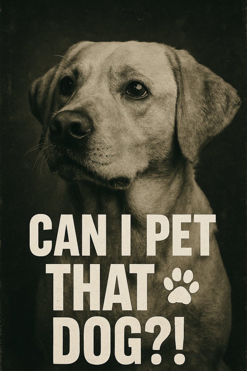 MyBlindView's tweet image. Check out My Blind View&apos;s video! #TikTok tiktok.com/t/ZTr8NfPSn/