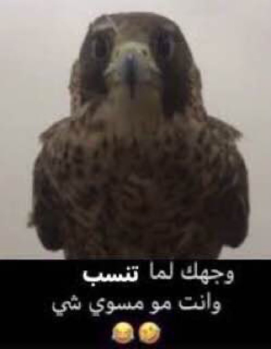 🔴 سافرت تركيا تمشي بزرانك في اجازة المدارس، ودخلت حسابك في X :