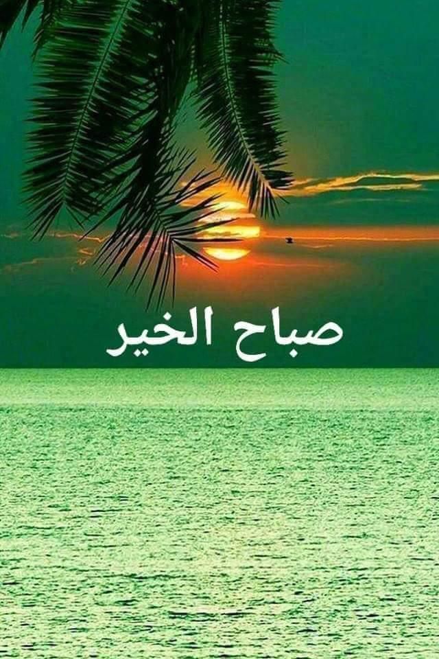 صباح الخير لكل من يحمل جبالا من الكبرياء في داخله دون تكبُّر ، لكل من لايبالي بمايخسر على ان لايخسر كرامته،لكل عزيز لايمد اليد،ولايتطلع لما في أيدي أحد،لكل نزيه ورع امينٌ مؤتمن،باطنه أطهر من ظاهره !!صباحكم✍🏻جميل👋🏻🌷*