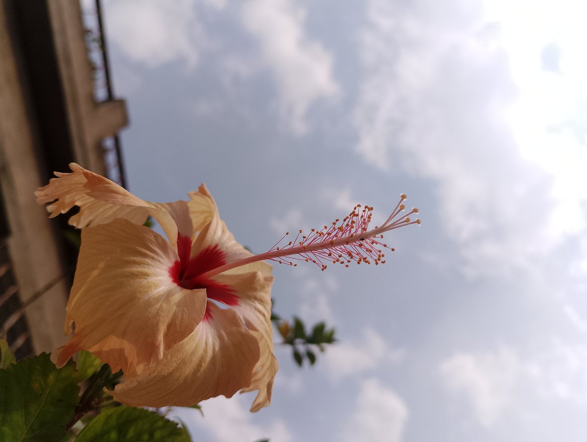 #GoodMorningEveryone