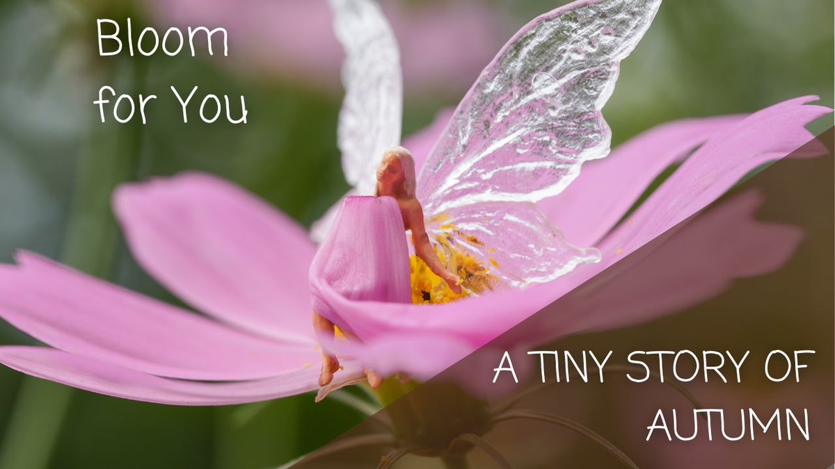 youtu.be/kgTwrkowmNY