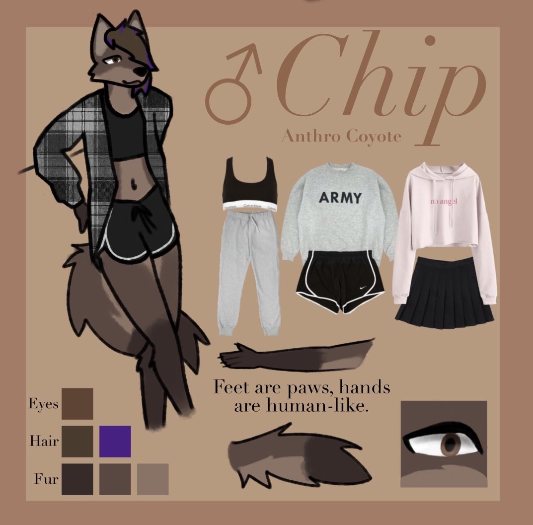itsthechip12 tweet picture