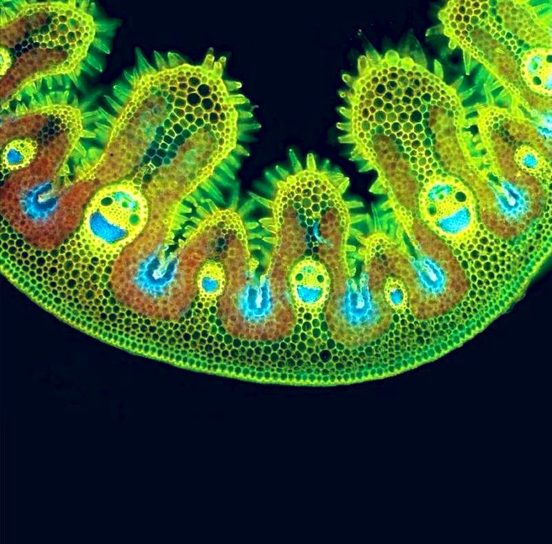 Nithin Stephen Raphael tweet media