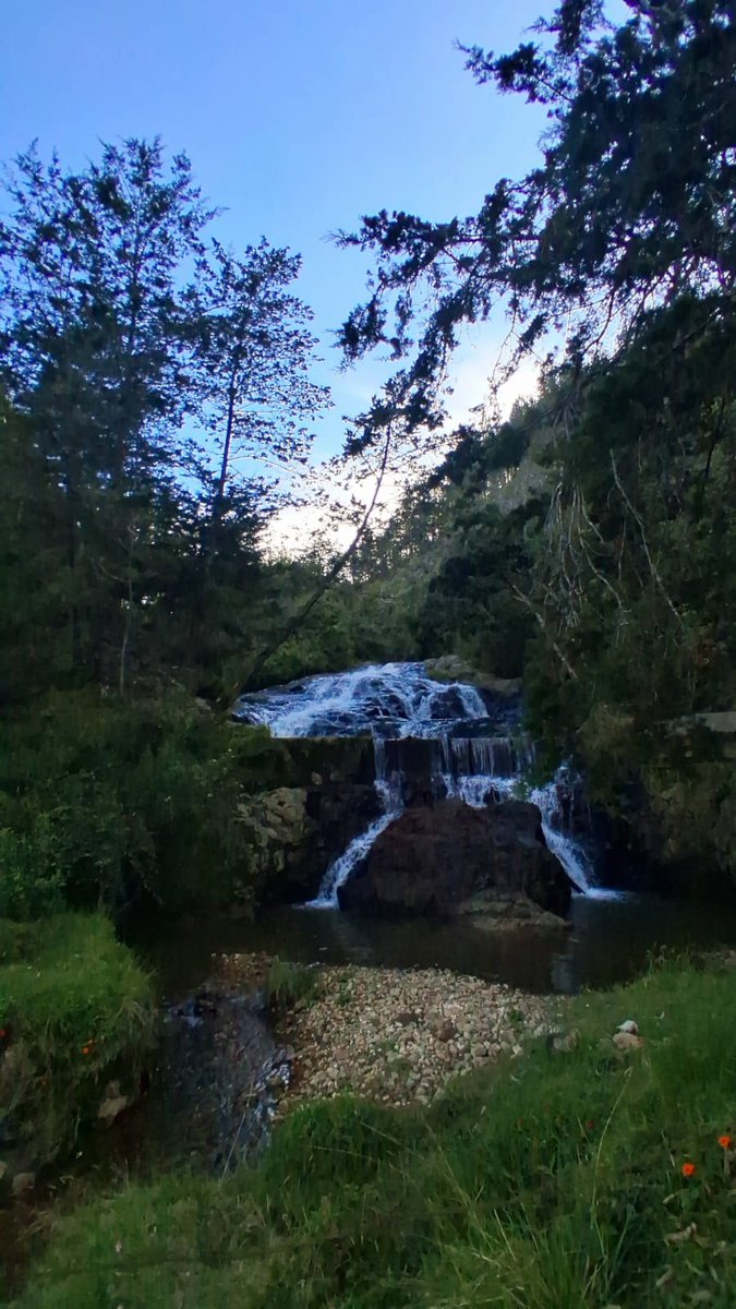 kjaramilloc's tweet photo. Guarne, Antioquia https://t.co/0WUBGwROMf